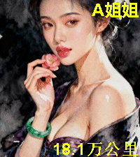 A姐姐，18.1万公里